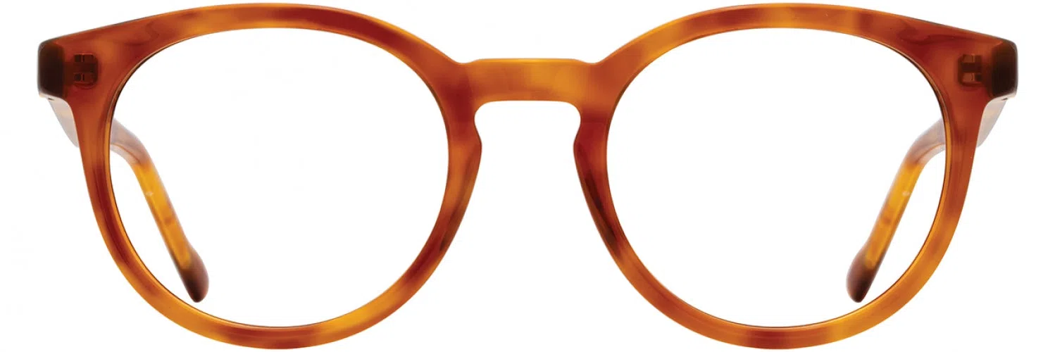Scott Harris SHVIN68 Eyeglasses - view 4